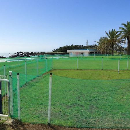 Shirahama Ocean Resort Chiba Bagian luar foto